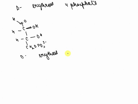 p-r-0-b-l-e-m-5-13-one-of-the-following-molecules-a-d-is-d-erythrose-4-phosphate-an-intermedi-ate-in-the-calvin-photosynthetic-cycle-by-which-plants-incorporate-coz-into-carbohydrates-id-ery-46753