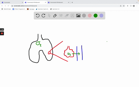 a-what-isare-the-differences-between-pulmonary-ventilation-and-alveolar-ventilation-b-which-one-more-accurately-represents-the-amount-of-oxygen-available-to-the-body-94577