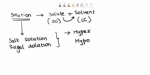 dialysis-bags-containing-the-following-sucrose-concentrations-are-placed-into-separate-beakers-of-10-sucrose-solution-the-bags-contents-are-as-follows-bag-a-1-sucrose-bag-b-10-sucrose-bag-c-15982