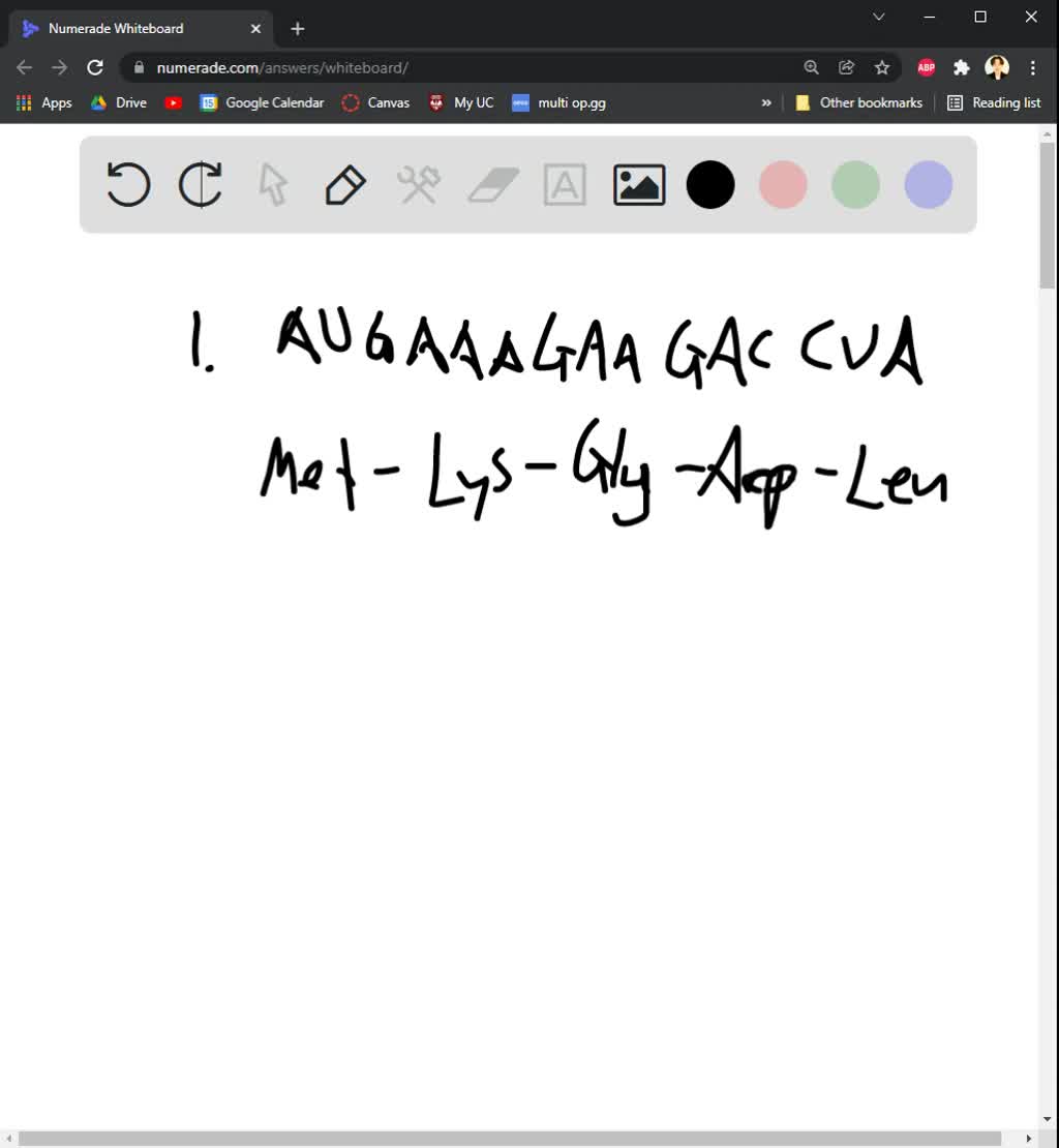 Predict the sequence of amino acids coded by the mRNA… SolvedLib