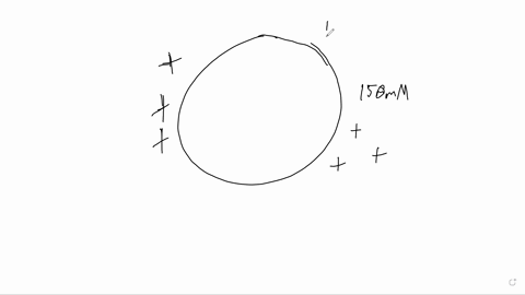 draw-a-cartoon