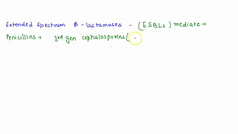 question-41-1-pts-which-of-the-following-statements-about-resistance-to-beta-lactam-antibiotics-in-gram-negative-bacteria-is-not-accurate-hint-see-the-video-about-beta-lactamases-at-the-end-39925