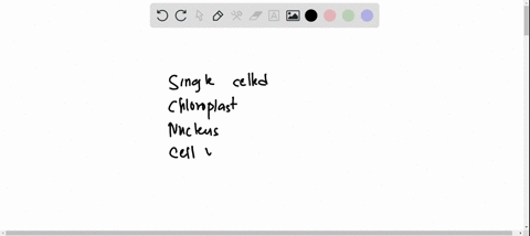 lets-say-weve-just-found-a-single-celled-organism-living-in-a-pond-this-organism-has-a-nucleus-a-cell-wall-a-plasma-membrane-chloroplasts-and-flagella-what-domainkingdom-is-it-probably-in-gr-48777
