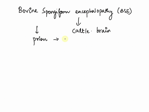 in-bse-the-brain-tissue-forms-holes-due-to-excessive-proliferation-as-a-result-of-cell-transformation-true-or-false-11494