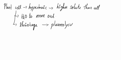 question-5-not-yet-answered-marked-out-of-800-flag-question-in-solutions-the-plant-cell-undergoes-and-the-plant-loses-its-support-and-wilts-cytolysis-hypotonic-isotonic-osmosis-hypertonic-pl-70648