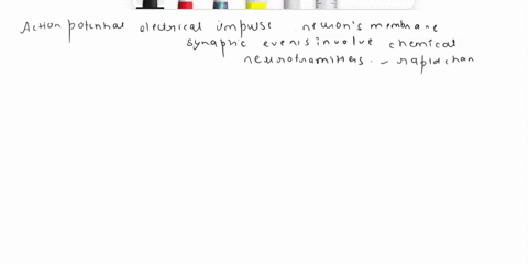 what-are-two-differences-between-an-action-potential-and-the-events-at-the-synapse-55923