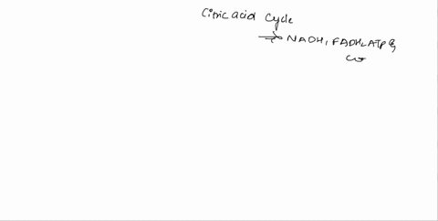 what-is-considered-a-product-of-the-citric-acid-cycle-nad-oxaloacetate-acetate-carbon-dioxide-ketoglutarate-in-what-part-of-the-eukaryotic-cell-is-oxidative-phosphorylation-carried-out-outer-06732