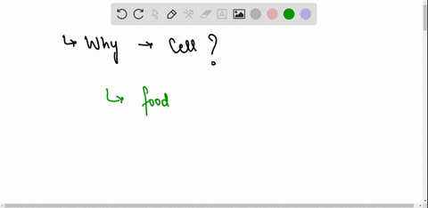 why-did-photosynthetic-organisms-evolve-before-organisms-which-utilize-cellular-respiration-53027