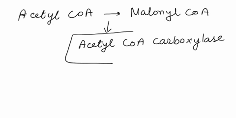question-2-the-conversion-of-acetyl-coa-to-malonyl-coa-is-the-rate-limiting-step-in-the-fatty-acid-synthesis-which-of-the-following-enzyme-catalyzes-the-above-mentioned-reaction-o-aacetyl-co-26674