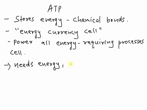 what-chemical-bond-in-atp-releases-energy-when-broken-28796