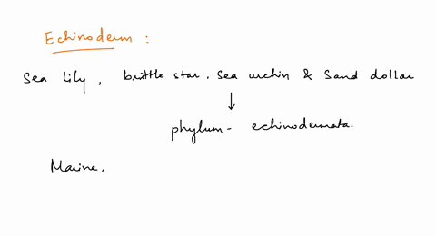 aii-except-which-of-these-is-an-echinoderm-sea-lily-b-brittle-star-sea-anemone-d_-sea-urchin-e-sand-dollar-66444