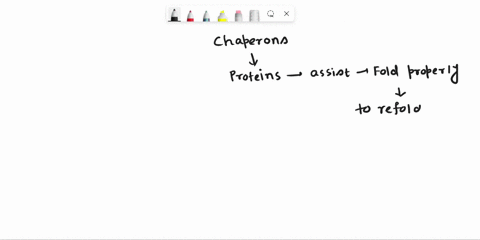 part103point-feedback-see-periodictablesee-hint-which-of-the-following-statements-could-be-considered-true-for-both-the-hsp70-mediated-and-groel-groes-mediated-protein-folding-processes-choo-03178