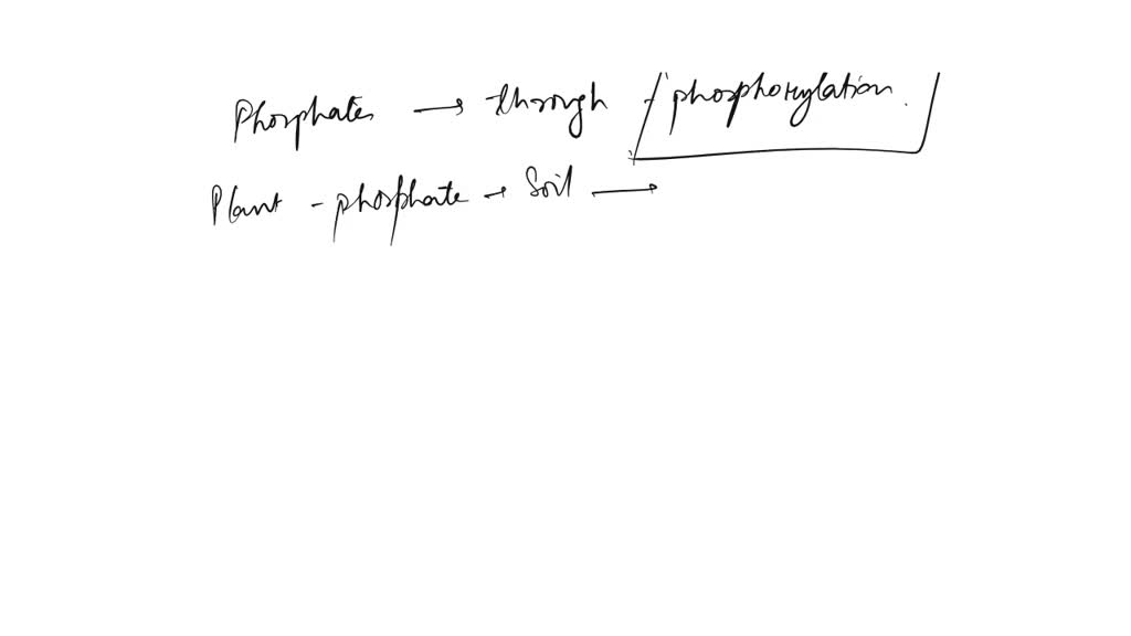 SOLVED How are phosphates incorporated into the organic molecules in