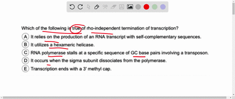 which-of-the-following-is-true-of-rho-independent-termination-of-transcription-it-relies-on-the-production-of-an-rna-transcript-with-self-c-complementary-sequences-utilizes-hexameric-helicas-12942