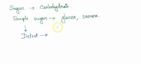 what-reagent-is-used-to-test-for-the-presence-of-simple-sugars-a-lodine-b-benedicts-c-biuret-d-sudan-red-23805