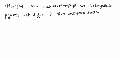 question-4-20-describe-the-processes-involved-in-catalysis-of-a-substrate-by-an-enzyme-and-state-how-competitive-inhibition-and-allosteric-inhibition-affect-this-catalysis-beskryt-die-proses-45402