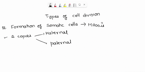 question-1-identify-the-type-of-cell-division-for-the-following-processes_-processl-action-kxpe-of-cell-diaj-formation-of-somatic-cells-replacement-of-dead-epithelial-cells-formation-of-game-97127