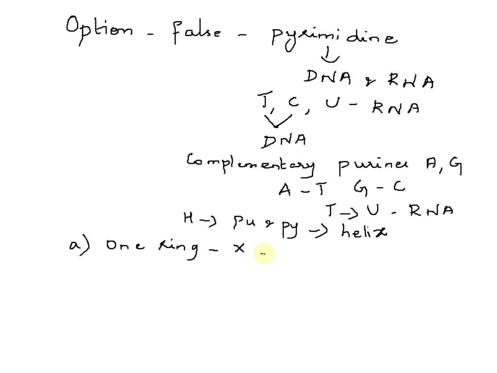 SOLVED Which of the following is NOT true of pyrimidine bases? they