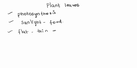 the-cells-that-make-up-plant-leaves-are-specialized-in-structure-and-function-to-allow-them-to-produce-food-from-sunlight-in-the-process-known-as-photosynthesis-which-statement-below-best-su-48022