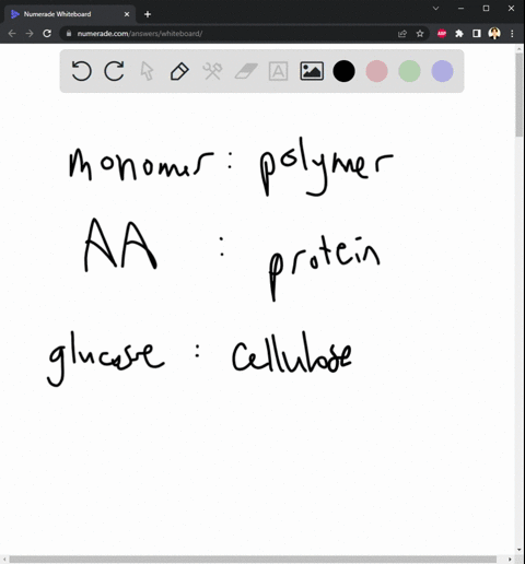 the-relationship-between-amino-acids-and-polypeptides-is-most-similar-to-the-relationship-between-glucose-and-which-of-the-following-a-carbon-b-fatty-acids-cellulose-fructose-e-nucleotides-r-39588