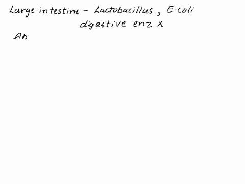 which-of-the-following-statements-about-the-large-intestine-is-false-it-harbors-beneficial-bacteria-it-secretes-digestive-enzymes-it-is-involved-with-the-absorption-of-vitamins-and-salts-it-17909
