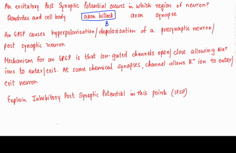 an-excitatory-post-synaptic-potential-epsp-occurs-in-which-region-ofa-neuron-dendrites-and-cell-body-axon-hillock-axon-synapse-for-each-of-the-following-sentences-choose-the-proper-word-or-p-9875