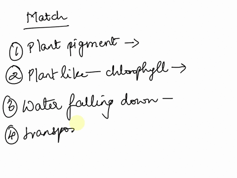 match-the-following-vocabulary-words-with-the-correct-definitions-1-green-pigment-needed-for-photosynthesis-chlorophyll-2-plant-like-organism-without-chlorophyll-community-3-water-falling-fr-06862