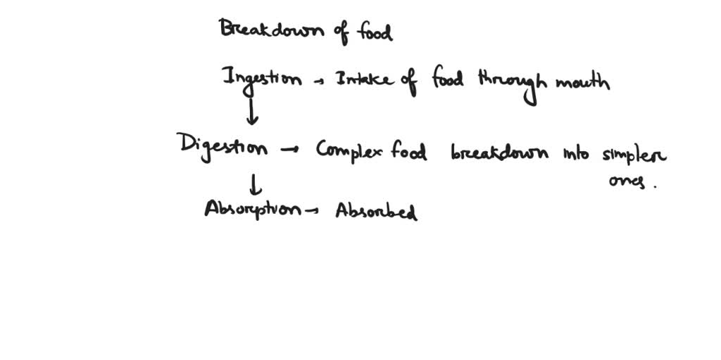 solved-draw-the-concept-map-of-modes-of-nutrition-with-examples-in-the-form-of-flow-chart