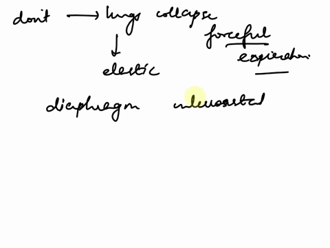 why-dont-the-lungs-collapse-even-after-forceful-expiration-48111