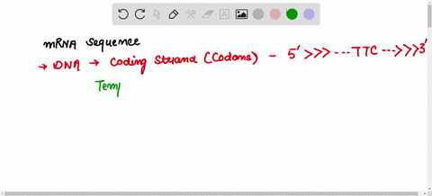 1-what-is-the-resulting-amino-acid-sequence-from-translating-the-following-mrna-molecule-5-aug-gcc-ccc-uag-32-2-what-is-the-resulting-mrna-sequence-from-transcribing-the-following-template-s-57377