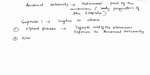 which-of-the-following-structures-would-you-find-superior-to-acromial-extremity-xiphoid-process-greatertrochanter-medial-malleolus-0000000-superior-nuchal-line-lateral-malleolus-talus-anteri-82925