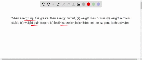 when-energy-input-is-greater-than-energy-output-a-weight-loss-occurs-b-weight-remains-stable-c-weigh-13834