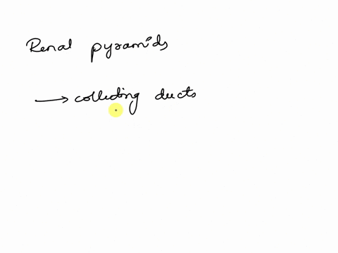 question-6-the-collecting-ducts-of-the-kidneys-would-be-found-in-which-structure-omajor-calyx-o-renal-pyramids-renal-fascia-renal-columns-renal-capsule-03342