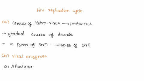 discuss-the-hiv-replication-cycle-and-how-mutation-may-affect-our-ability-to-fight-off-an-hv-infection-please-address-the-following-questions-in-your-response-describe-the-key-events-in-the-38968