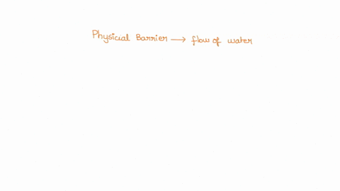 4-what-is-the-physical-barrier-in-the-root-that-regulates-the-flow-of-water-to-xylem-via-cell-walls-a-phloem-b-epidermis-c-casparian-strip-b-cortex-plasmodesmata-18381