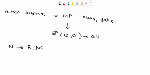 describe-how-an-action-potential-occurs-in-a-neuron-and-contributes-to-neuronal-communication-96923