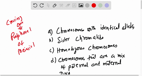 crossing-over-produces-chromosomes-with-identical-alleles-sister-chromatids-homologous-chromosomes-chromosomes-that-are-a-mix-of-paternal-and-maternal-dna-63792