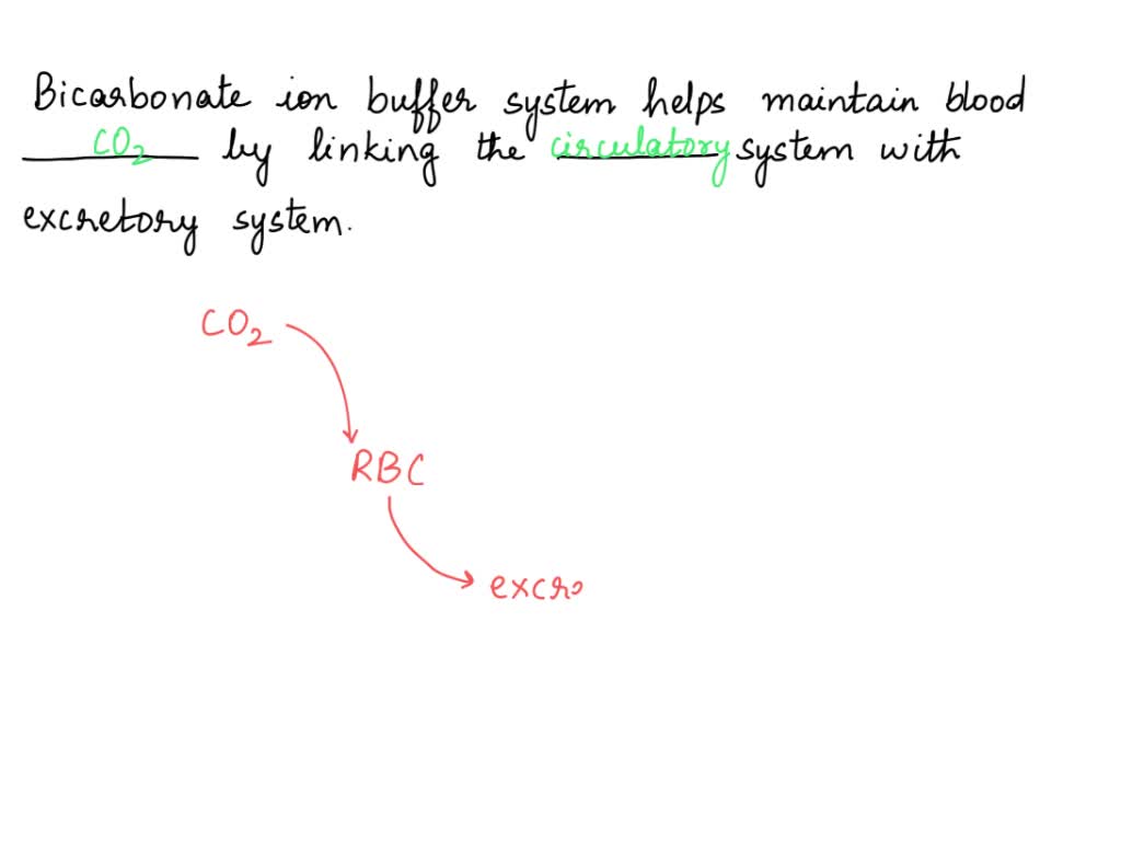 SOLVED [Choose ] produces bicarbonate produce bile absorb nutrients