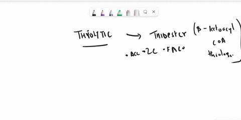 biochemistry-please-give-me-simple-point-answers-with-typing-no-handwriting-q18-thiolase-reaction-of-beta-oxidation-full-reactant-product-and-enzyme-93393