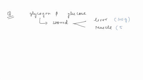 1-which-of-the-following-is-true-of-glycogen-and-glucose-within-the-body-the-liver-is-the-largest-store-of-glycogen-muscle-stores-glycogen-but-the-liver-is-the-main-organ-which-is-capable-of-43653