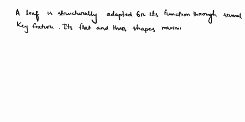 how-is-a-leaf-structurally-adapted-for-its-function-53435