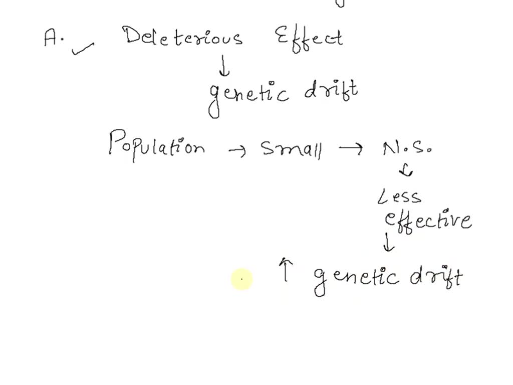 SOLVED: The accumulation of harmful mutations in small isolated ...