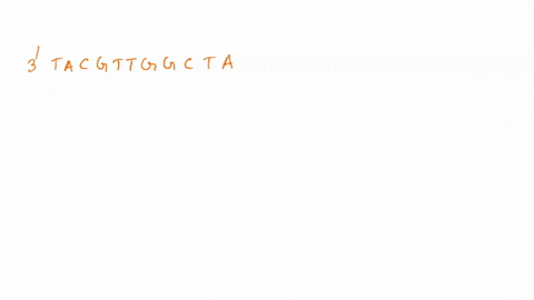 some-proteins-are-composed-of-two-or-more-polypeptides-suppose-this-dna-template-strand-sequence-part-a-3tacgttggctaccggagtaagcttact-5-what-is-the-amino-acid-sequence-of-the-polypeptide-prod-83515