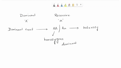 which-allele-combination-represents-a-recessive-monohybrid-trait-multiple-choice-aa-aa-aa-ab-ab-10294