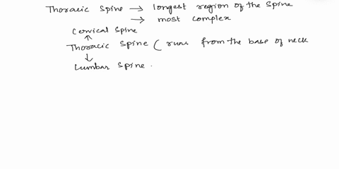 which-one-of-the-following-statements-regarding-the-spine-vertebral-column-is-incorrect-othe-vertebral-column-protects-the-spinal-cord-o-the-vertebral-column-allows-flexibility-for-movement-16797