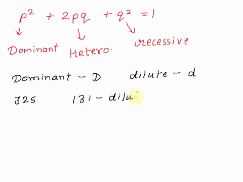 full-colour-d-in-domestic-cats-is-dominant-over-dilute-colour-d-of-325-cats-observed-194-have-full-colour-and-131-have-dilute-colour-a-ifthese-cats-are-in-hardy-weinberg-equilibrium-for-the-10437