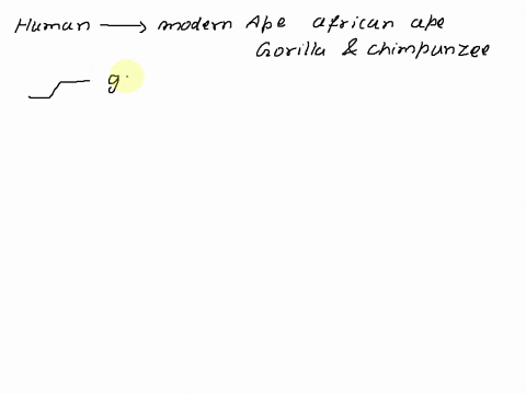 when-talking-about-human-evolution-its-common-to-hear-people-say-modern-humans-descended-from-monkeys-or-chimps-what-is-wrong-with-this-explanation-about-human-evolution-by-referencing-this-92055