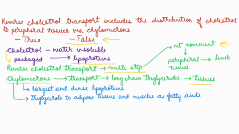 reverse-cholesterol-transport-includes-the-distribution-of-cholesterol-to-peripheral-tissues-via-chylomicrons-true-false-which-of-the-following-is-not-true-about-cholesterol-ldl-is-more-dens-48866