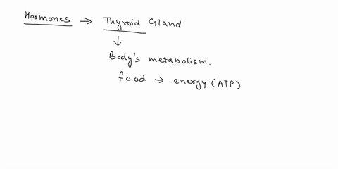 which-of-the-following-hormones-are-made-by-the-thyroid-gland-triiodothyronine-t3-thyroxine-t4-triiodothyronine-t3-and-thyroxine-t4-triiodothyronine-t3-thyroxine-t4-and-calcitonin-44844