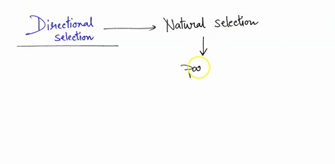 which-of-these-best-describes-directional-selection-one-phenotypic-extreme-is-favored-pushing-the-distribution-towards-that-phenotype-middle-phenotype-is-favored-pushing-the-distribution-tow-19619